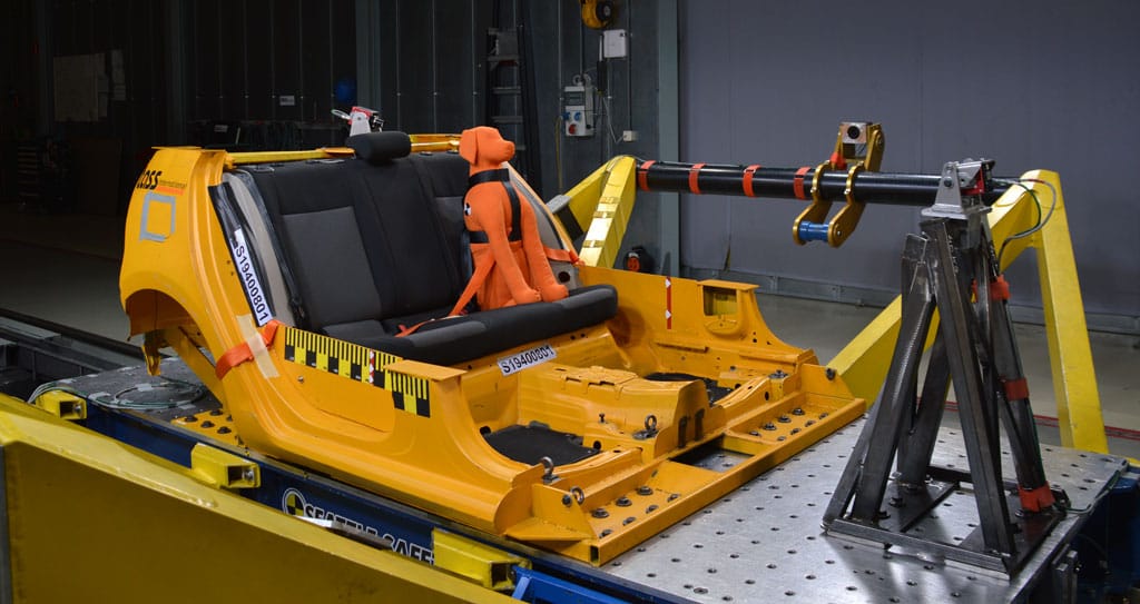 Dog adventures Dog adventures