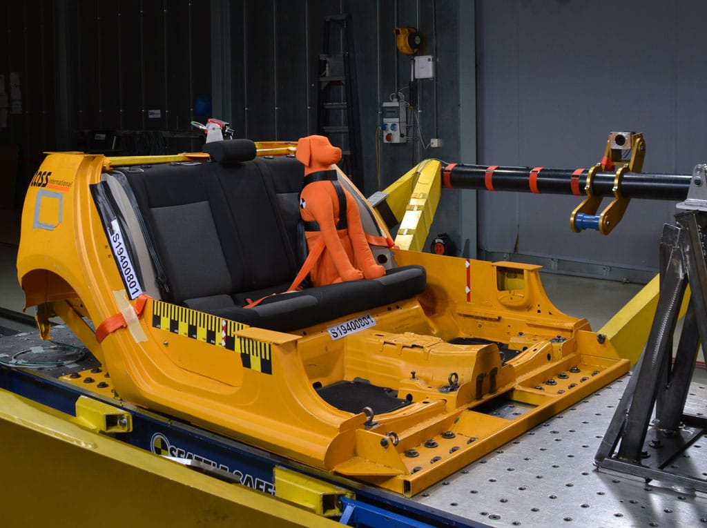 Dog adventures Dog adventures