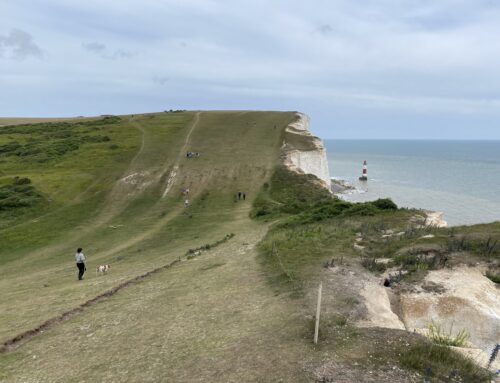Met je hond naar Engeland, is dat goed te doen?
