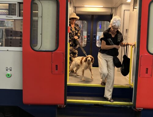 Met je hond reizen in de trein, is dat leuk?