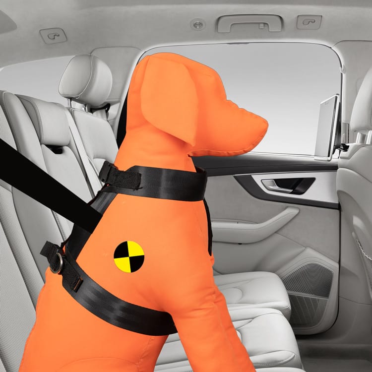 Trailstone™ Safety Range